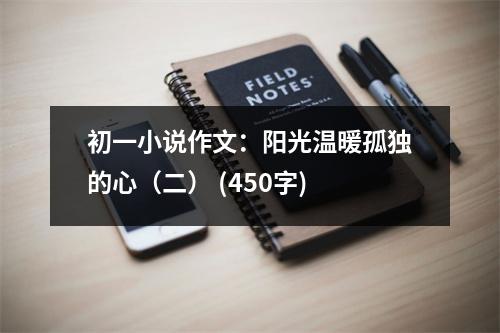 初一小說作文：陽光溫暖孤獨(dú)的心（二） (450字)