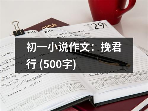 初一小說作文：挽君行 (500字)
