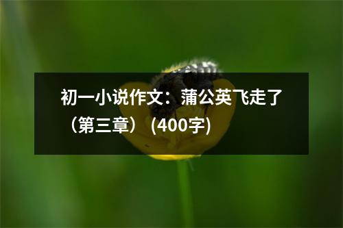 初一小說作文：蒲公英飛走了（第三章） (400字)