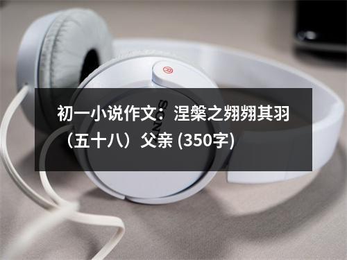 初一小說作文：涅槃之翙翙其羽（五十八）父親 (350字)