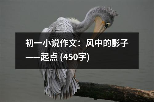 初一小說作文：風(fēng)中的影子——起點 (450字)