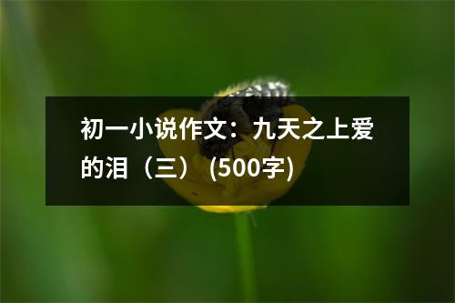 初一小說作文：九天之上愛的淚（三） (500字)