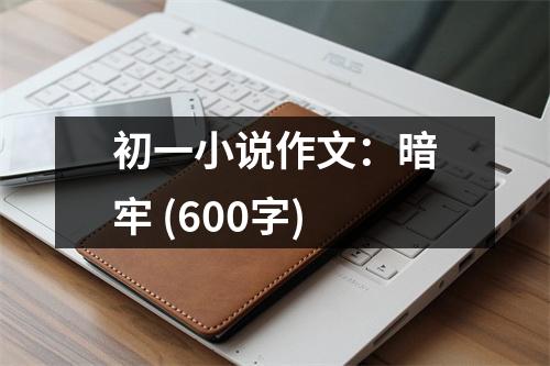 初一小說作文：暗牢 (600字)