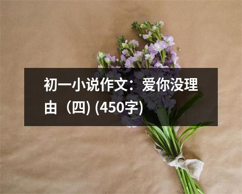 初一小說作文：愛你沒理由（四) (450字)