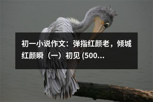初一小說作文：彈指紅顏老，傾城紅顏瞬（一）初見 (500字)