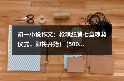 初一小說作文：槍魂紀第七章魂契儀式，即將開始！ (500字)