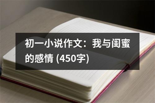 初一小說(shuō)作文：我與閨蜜的感情 (450字)