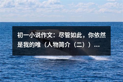 初一小說(shuō)作文：盡管如此，你依然是我的唯（人物簡(jiǎn)介（二）） (400字)