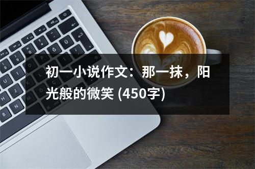 初一小說(shuō)作文：那一抹，陽(yáng)光般的微笑 (450字)