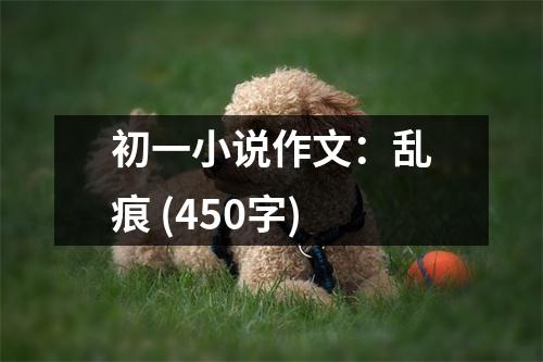 初一小說(shuō)作文：亂痕 (450字)