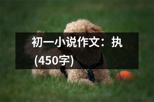 初一小說(shuō)作文：執(zhí) (450字)