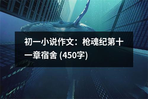 初一小說(shuō)作文：槍魂紀(jì)第十一章宿舍 (450字)