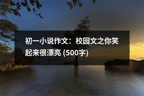 初一小說(shuō)作文：校園文之你笑起來(lái)很漂亮 (500字)