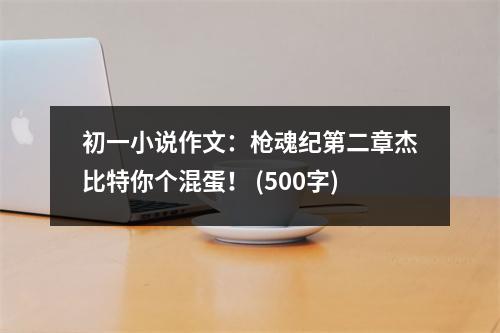 初一小說(shuō)作文：槍魂紀(jì)第二章杰比特你個(gè)混蛋！ (500字)