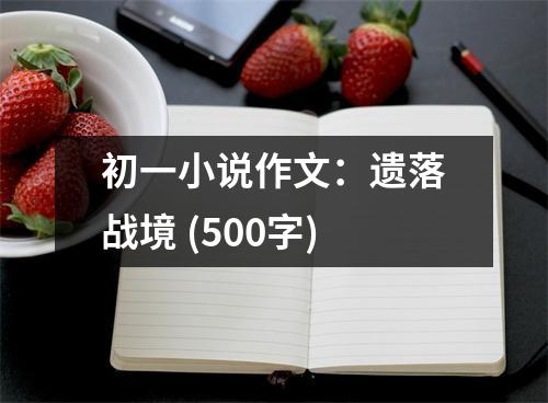 初一小說作文：遺落戰(zhàn)境 (500字)