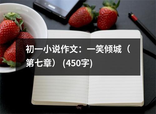 初一小說作文：一笑傾城（第七章） (450字)