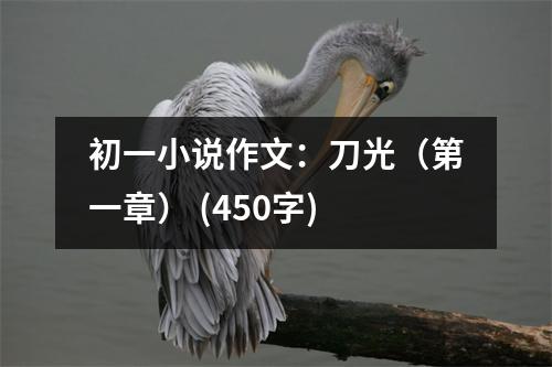 初一小說作文：刀光（第一章） (450字)