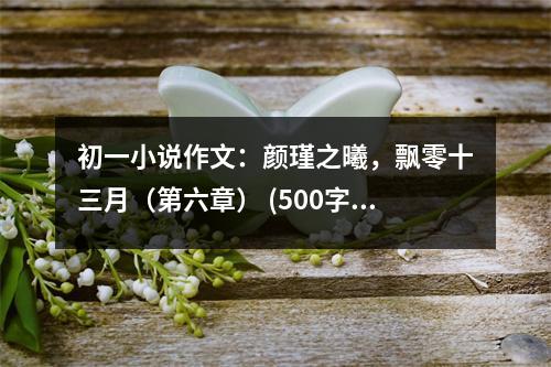 初一小說作文：顏瑾之曦，飄零十三月（第六章） (500字)