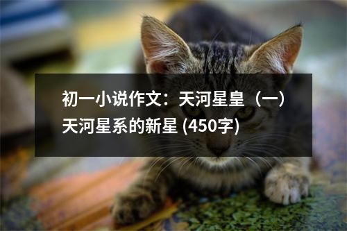 初一小說作文：天河星皇（一）天河星系的新星 (450字)