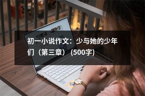 初一小說作文：少與她的少年們（第三章） (500字)