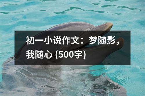 初一小說作文：夢隨影，我隨心 (500字)