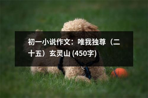 初一小說作文：唯我獨(dú)尊（二十五）玄靈山 (450字)
