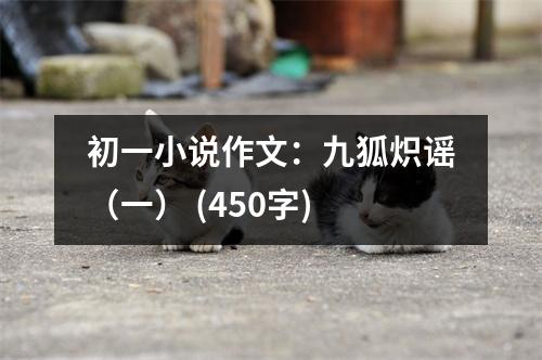 初一小說(shuō)作文：九狐熾謠（一） (450字)