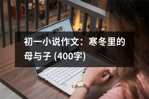 初一小說(shuō)作文：寒冬里的母與子 (400字)
