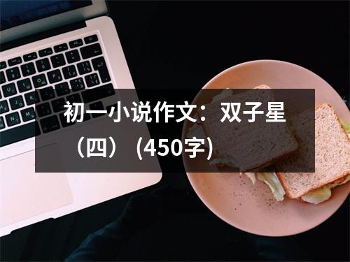初一小說(shuō)作文：雙子星（四） (450字)
