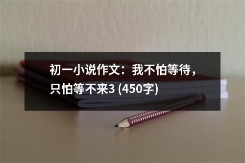 初一小說(shuō)作文：我不怕等待，只怕等不來(lái)3 (450字)
