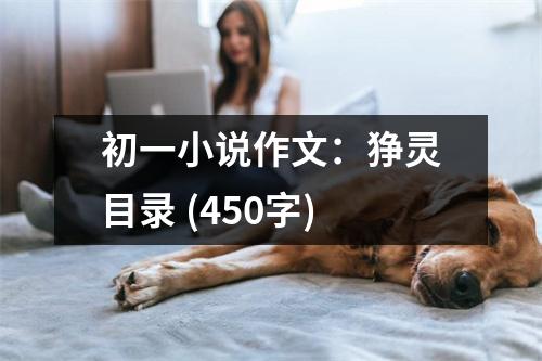 初一小說(shuō)作文：猙靈目錄 (450字)