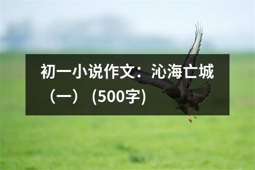初一小說作文：沁海亡城（一） (500字)