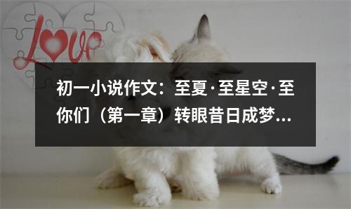 初一小說作文：至夏·至星空·至你們（第一章）轉(zhuǎn)眼昔日成夢 (450字)