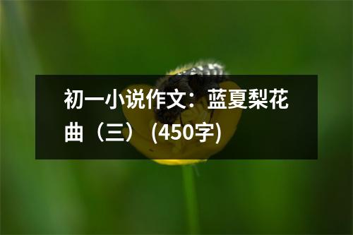 初一小說作文：藍(lán)夏梨花曲（三） (450字)