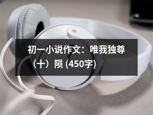 初一小說作文：唯我獨尊（十）隕 (450字)