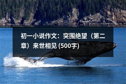 初一小說作文：突圍絕望（第二章）來世相見 (500字)